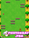 Game Xe bọ tí hon