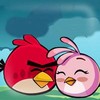 Game Angry Bird Giải Cứu Chim Hồng