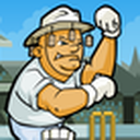 Tai game Cricket Thế Giới Cup 2011, Choi game Cricket Thế Giới Cup 2011