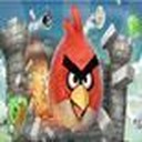 Tai game Tìm sao với Angry Birds, Choi game Tìm sao với Angry Birds