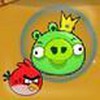 Game Phi đội Angry Birds