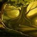 Tai game Khu rừng ma thuật, Choi game Khu rừng ma thuật